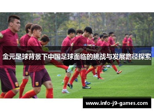 金元足球背景下中国足球面临的挑战与发展路径探索