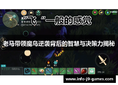 老马带领魔鸟逆袭背后的智慧与决策力揭秘